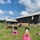 Barnyard Yoga