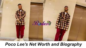 What salary does a developer net junior earn in your area? Poco Lee S Biography Rosbena