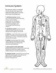 Inside Out Anatomy The Immune System Worksheet Education Com Life Science Middle School Middle School Life Life Science