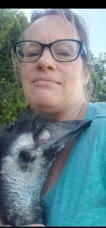 Mr Mr. Pebbles has his own platform! Our lonely emu is looking for love