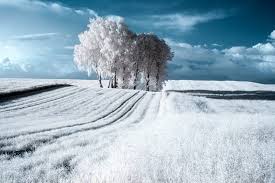 Przemyslaw Kruk S Haunting Infrared Landscapes Will Stun You Infrared Photography Beautiful Landscape Photography Ir Photography