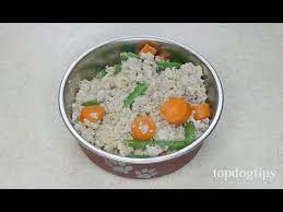 Our list of the best diabetic dog food list will help you choose a balanced diet for your pooch no diet tips for a diabetic dog. Homemade Food For Diabetic Dogs Cheap And Easy To Make Youtube
