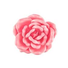 Pink Wild Rose Wall Decor Small Rose Wall Flower Wall Decor Small Decor