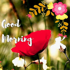 Inspirational good morning text messages for groups on whatsapp. Whatsapp Good Morning Image
