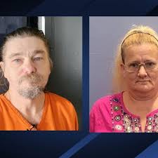 Sheriff: Couple charged in Fayette after 15 dogs found living in deplorable  conditions
