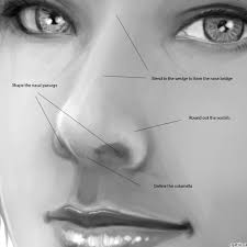Check spelling or type a new query. How To Draw A Nose In 4 Steps With Photoshop