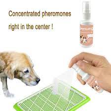 Dog Potty Training Spray 30ml Effective Pet Toilet Training Spray Dog Props Inducer Z0510 G30 Dog Potty Dog Potty Training Toilet Training