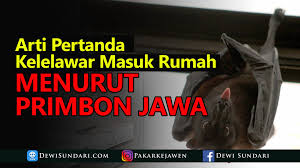 Arti mimpi di gigit ular. Dewi Sundari Arti Kelelawar Masuk Rumah Facebook