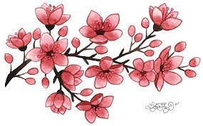 Cherry Blossom Like The General Idea But With Other Flowers Cherry Blossom Tattoo Cherry Blossom Drawing Flower Drawing