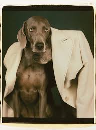 Lumps and bumps can be harmless, or can be cause for concern. What Becomes A Legend Most Max Mara Reissues The Iconic 101801 Coat Max Mara Miss My Dog William Wegman
