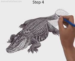 Learn how to draw a cartoon alligator!🎨 art supplies we love (amazon affiliate links): Drawing Pencil How To Draw Alligator Facebook