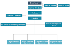 chart showing company organisation 2019