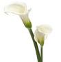 Profile Picture of Obituary information for John Vasilarakis - Geisen Funeral Home (@geisenfuneralhome.com) on Google