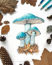 Pin On Pencil Drawings