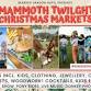 Mammoth Twilight Christmas Markets, Bearded Dragon event image