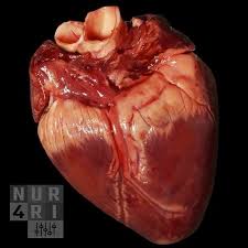 It reached number one in the united states and canada in january 1989. Stream Phil Collins Two Hearts Steven Gerrard Aggro Edit By Nur4ri Listen Online For Free On Soundcloud