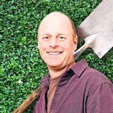 How to plant, grow and care for bearded irises