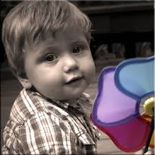 Coronado National Forest