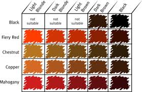 Posts Related Different Shades Red Hair Color Chart Sophie