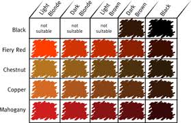 Posts Related Different Shades Red Hair Color Chart Sophie