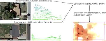You'd like to start a tree service, but are not sure how. Measuring Urban Tree Loss Dynamics Across Residential Landscapes Sciencedirect