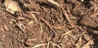 Arborist wood chips are ground up when older trees are pruned or removed. My Search For Arborist Wood Chips Whatever They Are Gardenrant