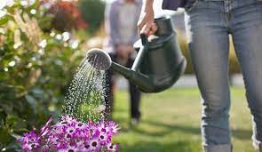 Sydney, the blue mountains and the illawarra have just embraced stage 2 water restrictions limited use in the garden but worse is on. Level 2 Water Restrictions To Start Across Sydney Mirage News