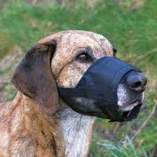 Or haleter est vital pour votre animal. Museliere Avec Partie Maillee Nylon