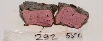 Flank Steak Sous Vide Temperature Experiment Stefans