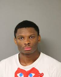 Parolee charged with attacking cop after Fourth of July fireworks at Navy  Pier