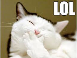 That company that provides access to the internet has very good service. Lol The Acronym That Made The Internet Turns 25 Here S How We Got Here The Independent The Independent