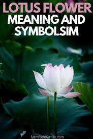 If he is an enthusiastic christian he might not like the idea of a symbols of other another religion being in his yard or he might just find that it embarrasses him in front of his christian friend. Lotus Flower Meaning Symbolism And Colors Buddhist Symbol Of Purity