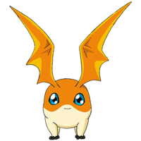 Patamon - Wikimon - The #1 Digimon wiki