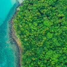 Ceo, chief designer, and founder of spacex; Buy An Acre World Land Trust