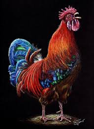 Artwork By Valorie Sams Colored Pencil On Strathmore 400 Series Artagain Black Paper Black Paper Drawing Color Pencil Art Colour Pencil Shading