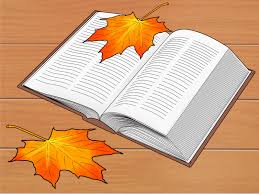 You can leave the leaves on your lawn and still have a beautiful yard in the spring. 3 Ways To Deal With Autumn Leaves Wikihow
