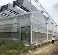 China hydroponics greenhouse construction manufacturer Company