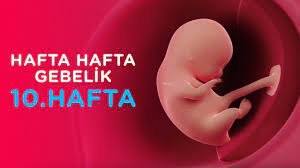 hamilelikte 10 hafta hafta hafta gebelik ilk adimlarim youtube