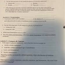 As you can see anaerobic respiration is not as efficient as aerobic and only a small amount of energy is 30. 2 Can The Following Types Of Cells Metabolize Chegg Com
