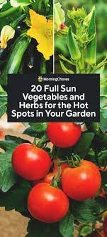 Grow them with 6+ hours of sunlight. Pin On Garden Art