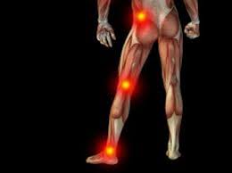Muscles in lower back and hip. 3 Simple Stretches To Help Lower Back Pain Hip Pain And Sciatica The Chiro Tree