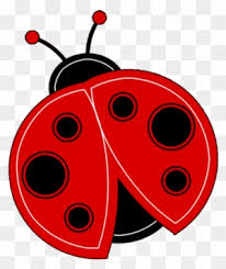 Free Free 191 Transparent Background Ladybug Svg Free SVG PNG EPS DXF File