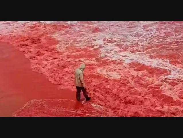 Why tourists are awestruck by this blood-red seashore in Iran | Lifestyle  News | English Manorama