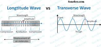 The restoring force in these waves is the. Difference Between Longitudinal And Transverse Waves Teachoo