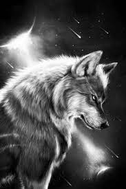 صور ذئاب مفترسه ، صور ذيب ابيض واسود , صور ذيابه ، صور الذيب. Phoneky Wolf Hd Ø®Ù„ÙÙŠØ§Øª