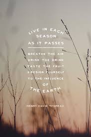 Live In Each Season As It Passes Breathe The Air Drink The Drink Taste The Fruit And Resign Yourse Thoreau Quotes Season Quotes Henry David Thoreau Quotes