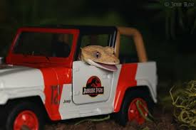 Clever Girl Funny Animal Pictures Cute Reptiles Cute Animals