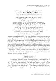 Image result for Manniella