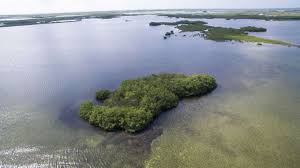 In ireland it is still possible to purchase a private island, with a castle, for under a million dollars. Private Islands Demand Rises Here Are 6 Gorgeous Islands Top 10 Liverpool Earners Can Afford Even With 30 Pay Cut After 2 Months In Quarantine