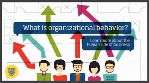 What Is Organizational Behavior Learn More About The Human